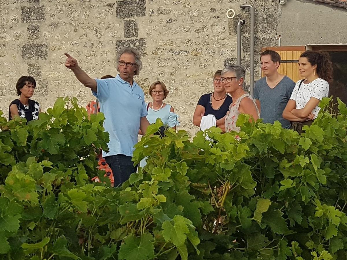 Le Coeur Des Vignes Pauillac Exterior foto