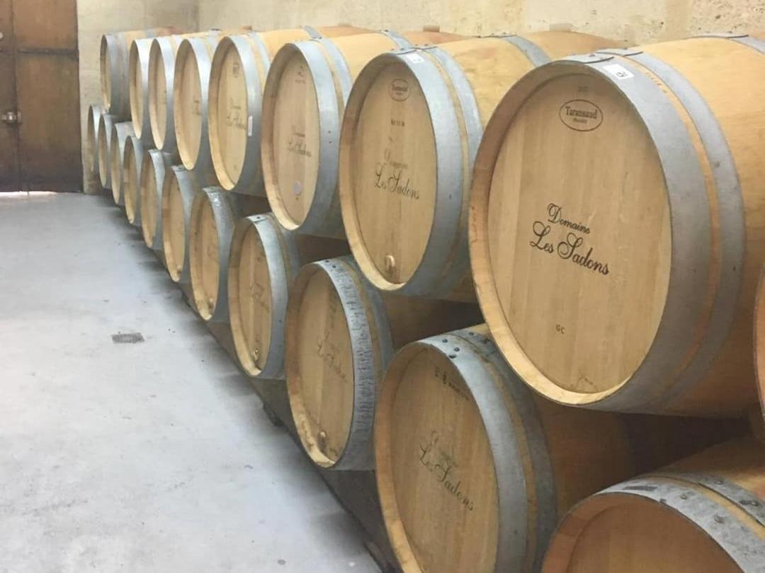 Le Coeur Des Vignes Pauillac Exterior foto